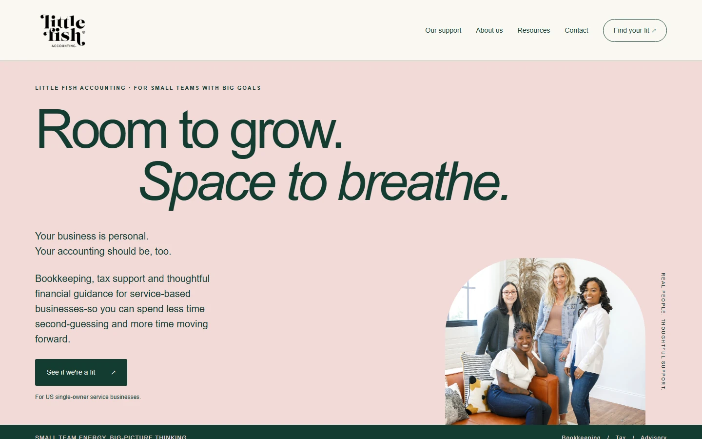 Little Fish Accounting page with a soft pink background, large Room to grow headline and a group portrait beside the introductory copy.
